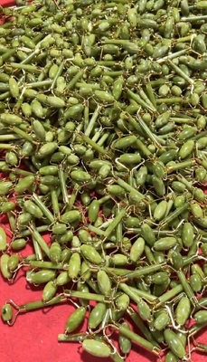 OEM/ODM गुलाब क्वार्ट्ज जेड रोलर फेशियल स्टोन मालिश सेट सीरम तेल और गनशा के साथ